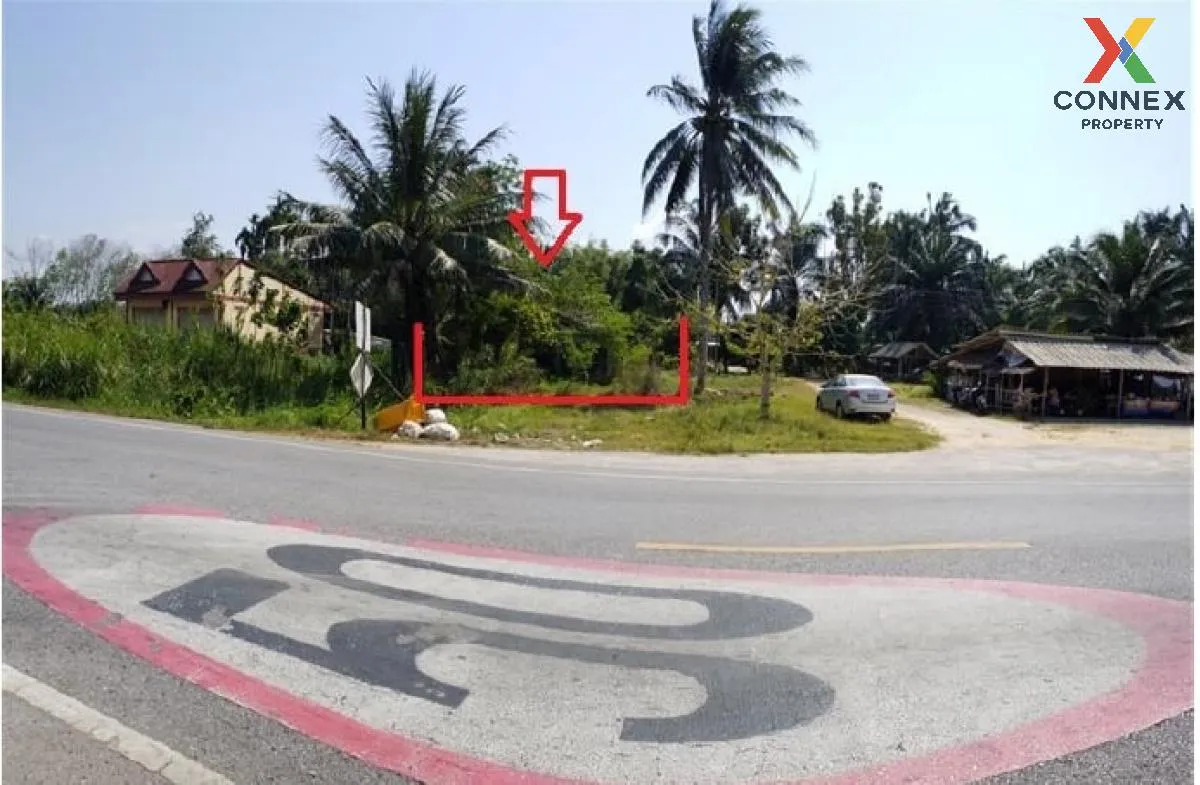 ขายบ้านเดี่ยว 1 ชั้น 232.90 ตารางวา พระแสง สุราษฎร์ธานี บางสวรรค์ ขายบ้านเดี่ยว 1 ชั้น 232.90 ตารางวา พระแสง สุราษฎร์ธานี บางสวรรค์