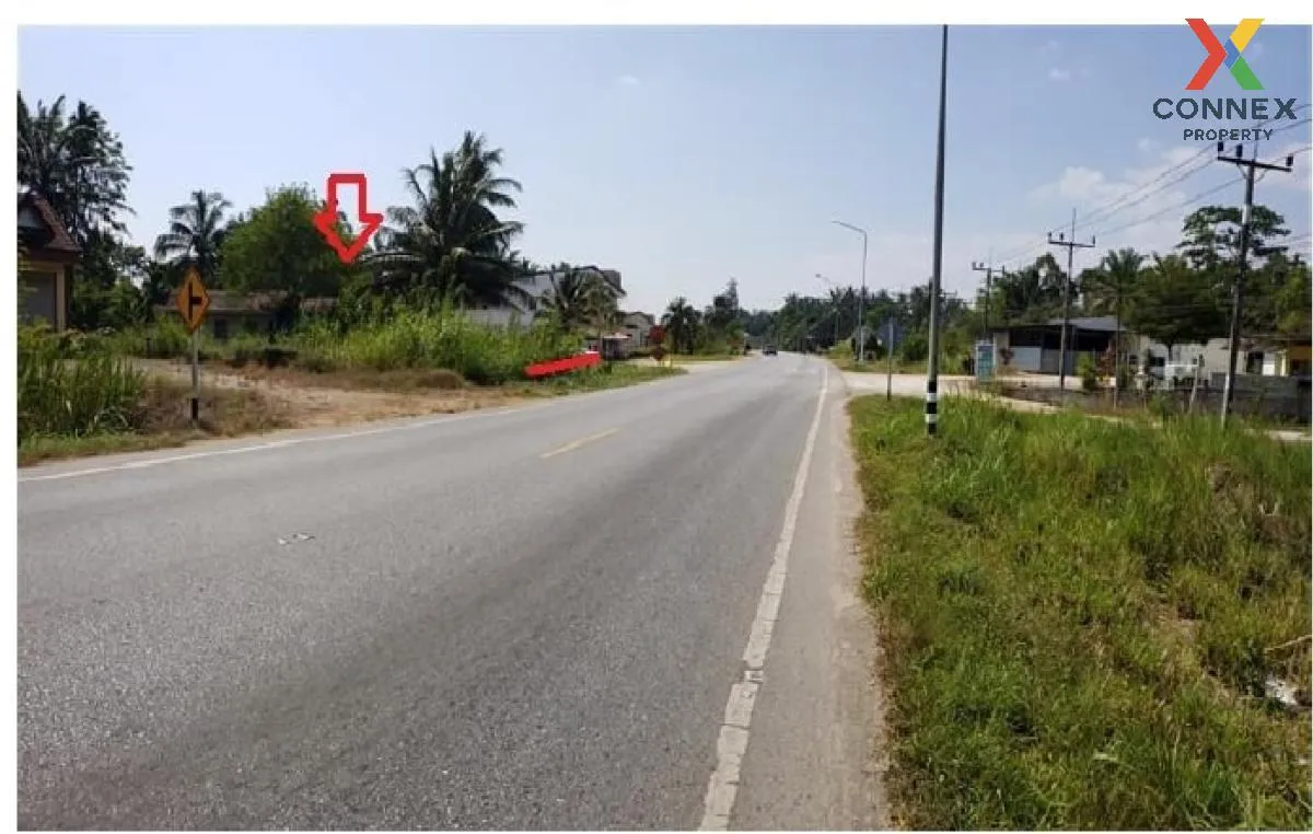 ขายบ้านเดี่ยว 1 ชั้น 232.90 ตารางวา พระแสง สุราษฎร์ธานี บางสวรรค์ ขายบ้านเดี่ยว 1 ชั้น 232.90 ตารางวา พระแสง สุราษฎร์ธานี บางสวรรค์