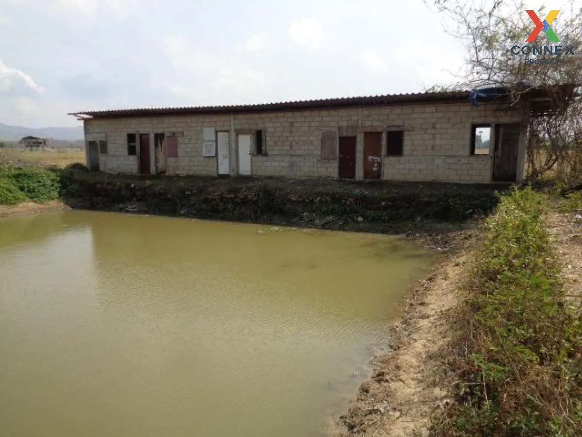 ขายโกดัง/โรงงาน  บ้านสันคะยอม มะเขือแจ้ เมืองลำพูน ลำพูน CX-12087 1