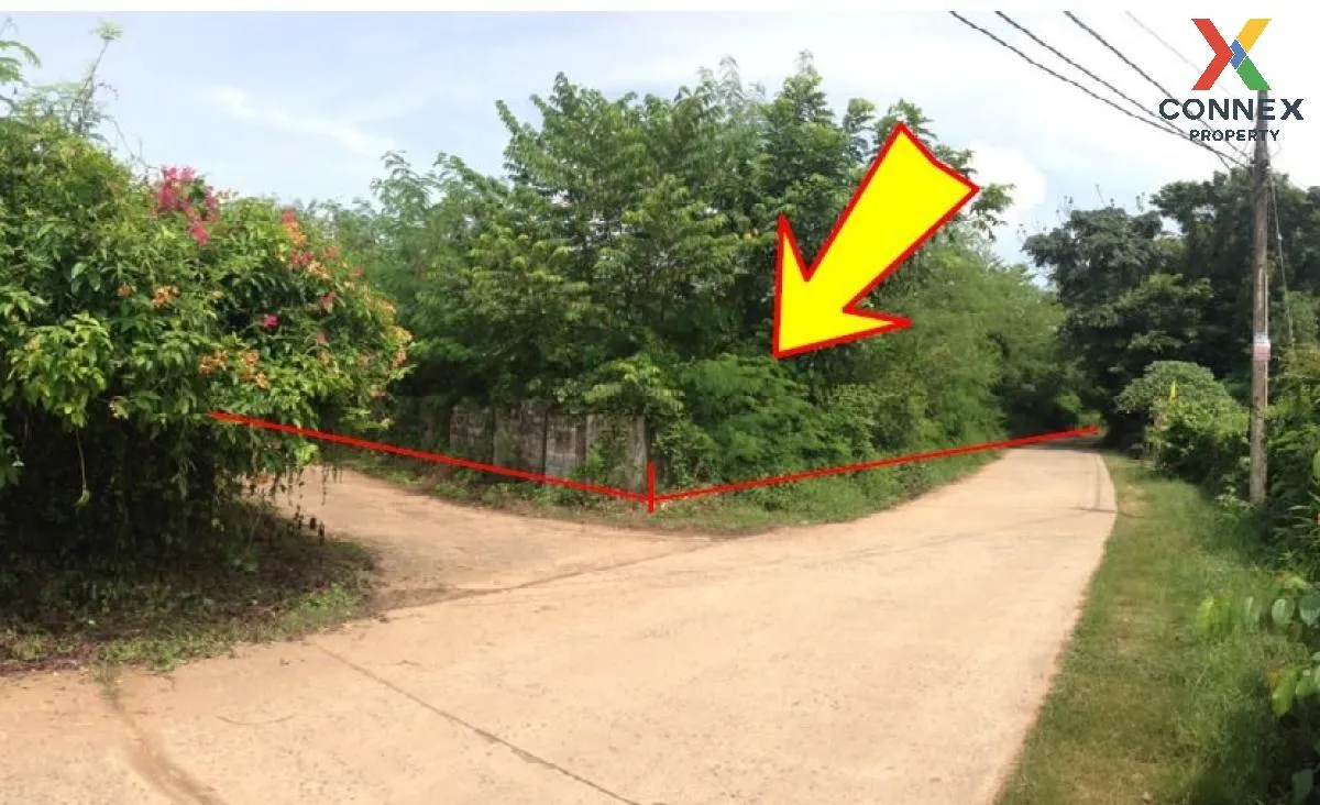 ขายที่ดินว่างเปล่า กาฬสินธุ์  1355 ตรว. ยางตลาด  ยางตลาด  กาฬสินธ ขายที่ดินว่างเปล่า กาฬสินธุ์  1355 ตรว. ยางตลาด  ยางตลาด  กาฬสินธ 1