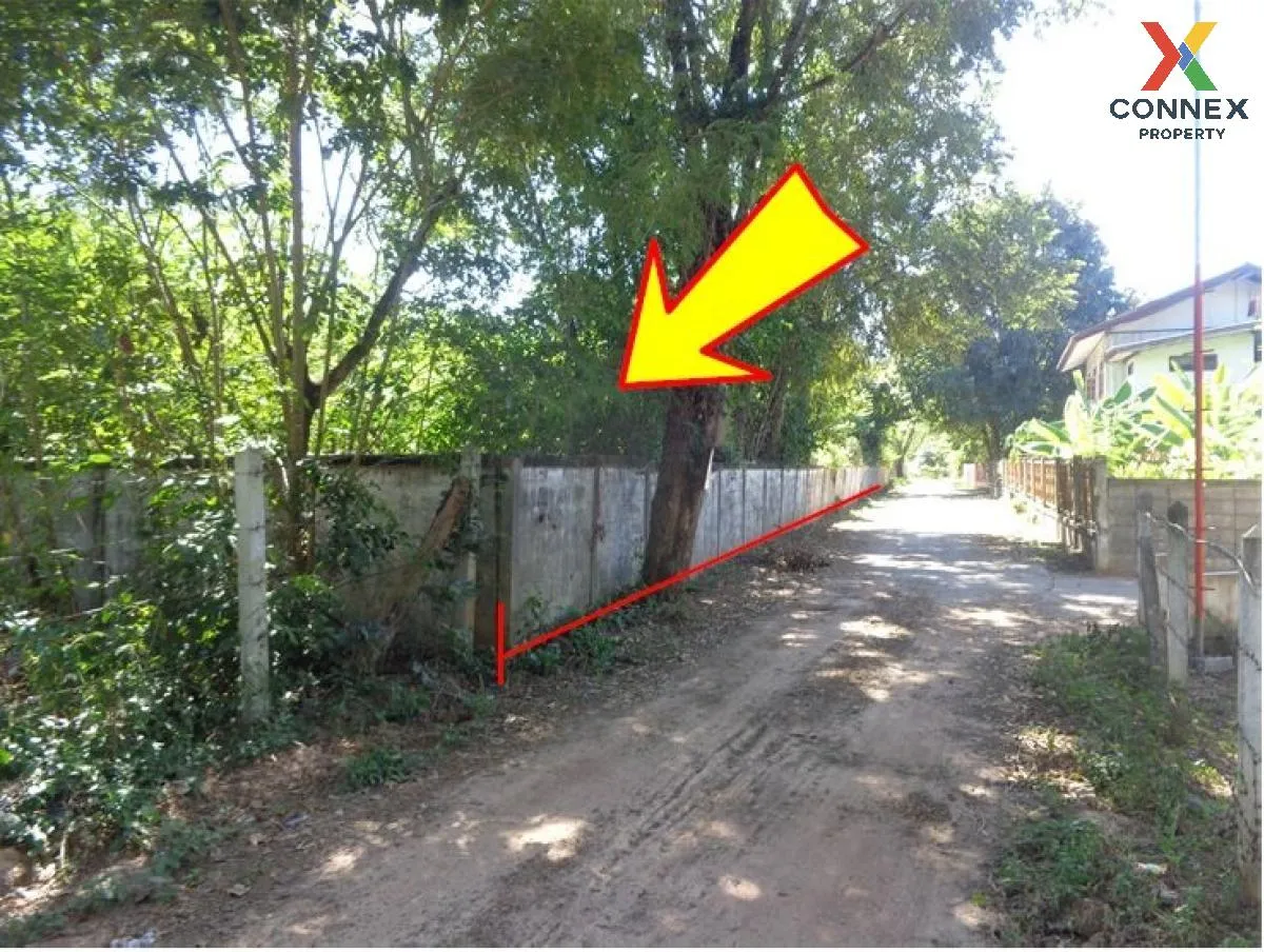 ขายที่ดินว่างเปล่า กาฬสินธุ์  1355 ตรว. ยางตลาด  ยางตลาด  กาฬสินธ ขายที่ดินว่างเปล่า กาฬสินธุ์  1355 ตรว. ยางตลาด  ยางตลาด  กาฬสินธ 3