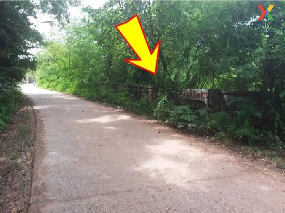 ขายที่ดินว่างเปล่า กาฬสินธุ์  1355 ตรว. ยางตลาด  ยางตลาด  กาฬสินธ ขายที่ดินว่างเปล่า กาฬสินธุ์  1355 ตรว. ยางตลาด  ยางตลาด  กาฬสินธ 4