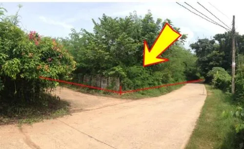 ขายที่ดินว่างเปล่า กาฬสินธุ์  1355 ตรว. ยางตลาด  ยางตลาด  กาฬสินธุ์ ยางตลาด ยางตลาด กาฬสินธุ์ CX-120887