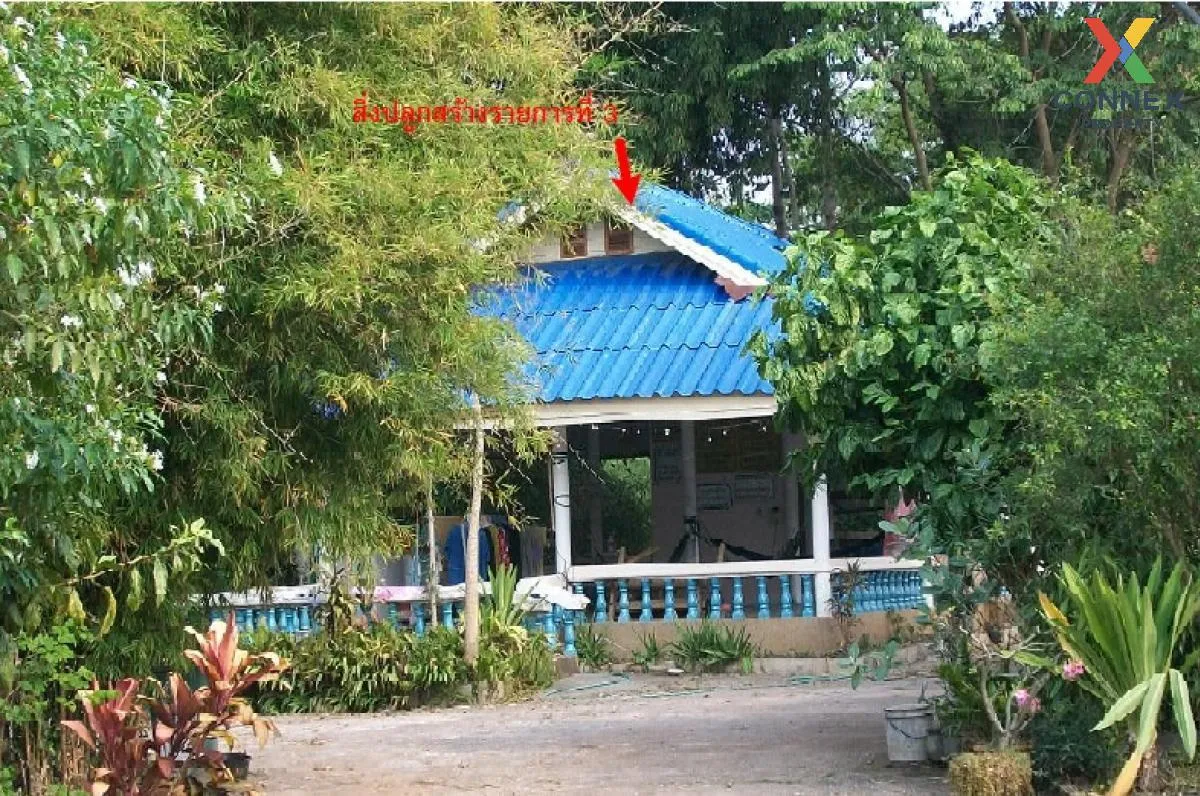 ขายบ้าน  บ้านสุขสวัสดิ์ หลุบ เมืองกาฬสินธุ์ กาฬสินธุ์ CX-120893 2