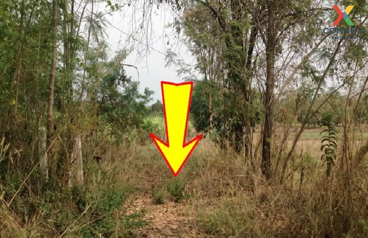 For Sale Vacant land, Khon Kaen, 1409 sq m, Nong Bua, Ban Fang, K 1