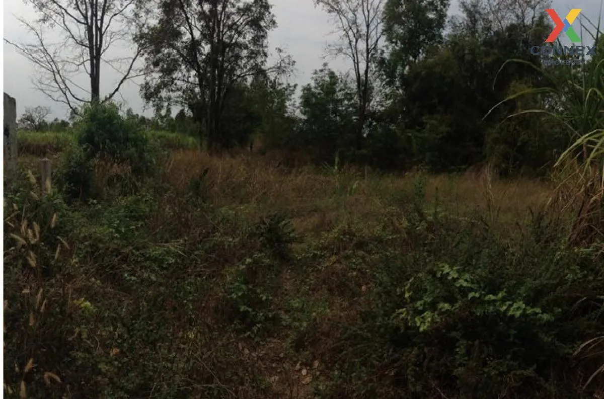 For Sale Vacant land, Khon Kaen, 1409 sq m, Nong Bua, Ban Fang, K 2
