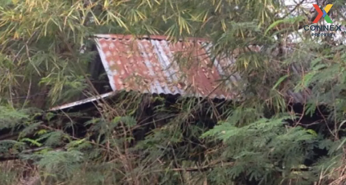 For Sale Vacant land, Khon Kaen, 1409 sq m, Nong Bua, Ban Fang, K 3