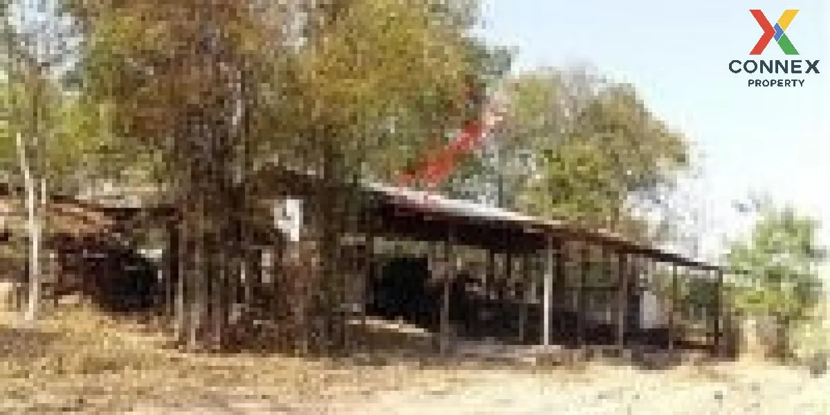 For Sale Vacant land, Khon Kaen, 1409 sq m, Nong Bua, Ban Fang, K 4