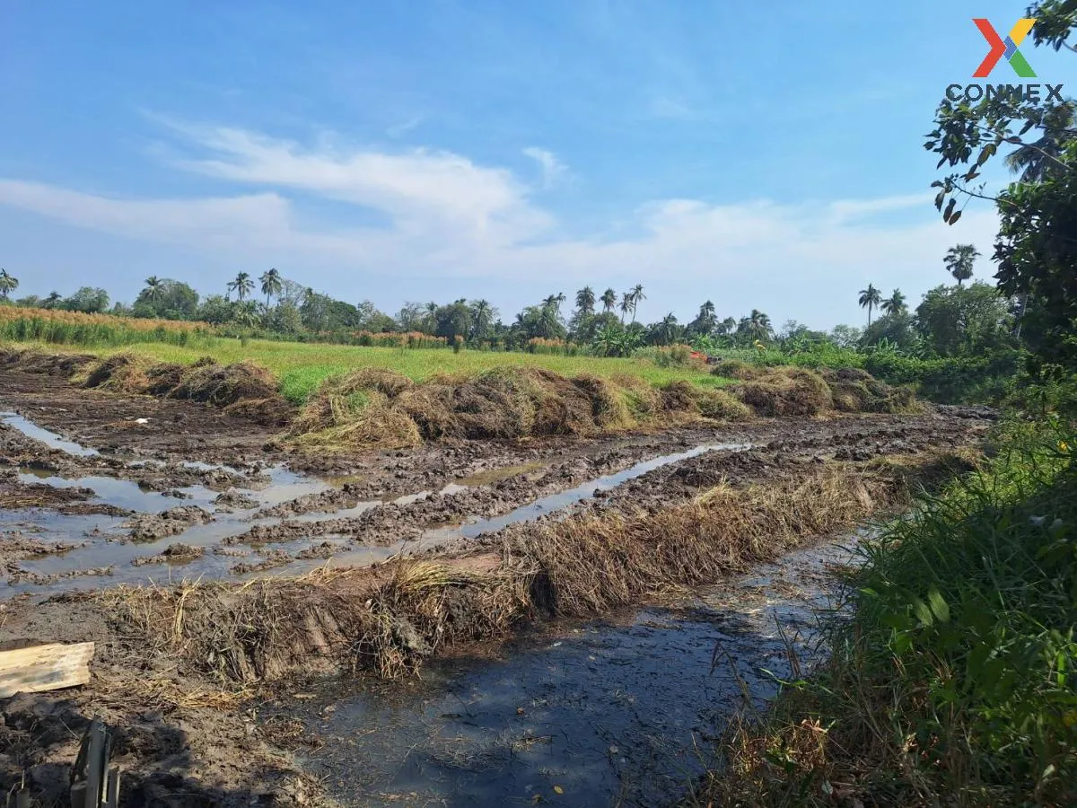 For Sale land 28 rai Nakhon Pathom , Don Faek , Nakhon Chai Si ,  1