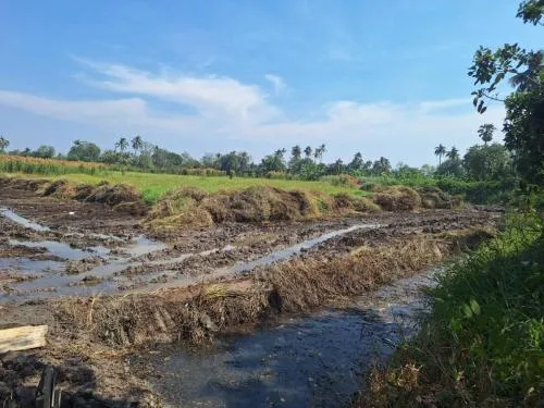 For Sale land 28 rai Nakhon Pathom , Don Faek , Nakhon Chai Si , Nakhon Pathom , CX-120928