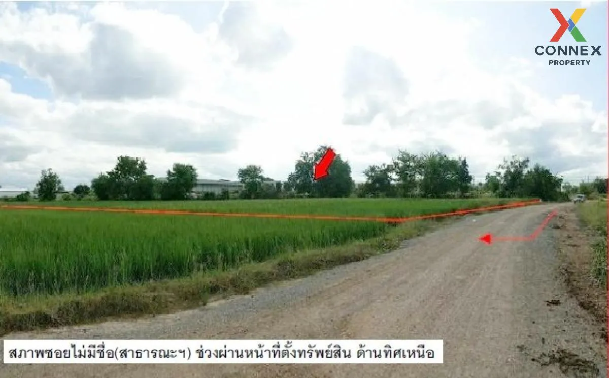 For Sale Vacant land, Nakhon Ratchasima, 2910.50 sq.wa., Dan Khun 3