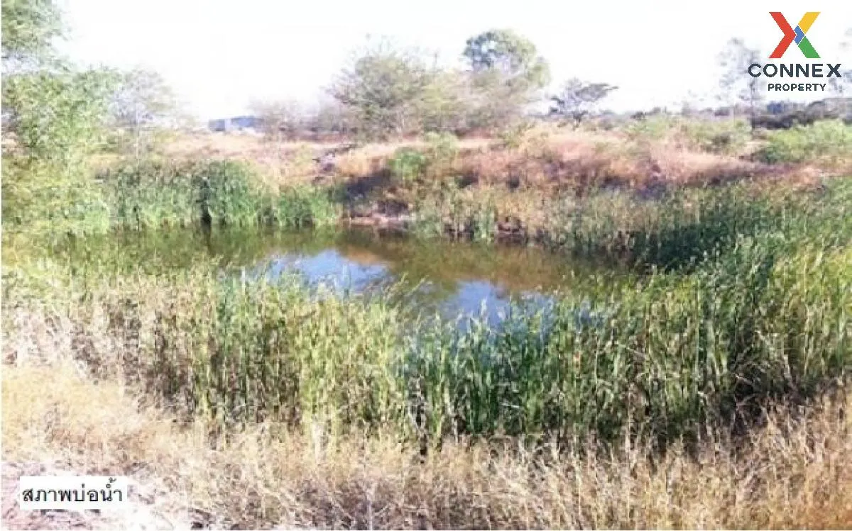 For Sale Vacant land, Nakhon Ratchasima, 2910.50 sq.wa., Dan Khun