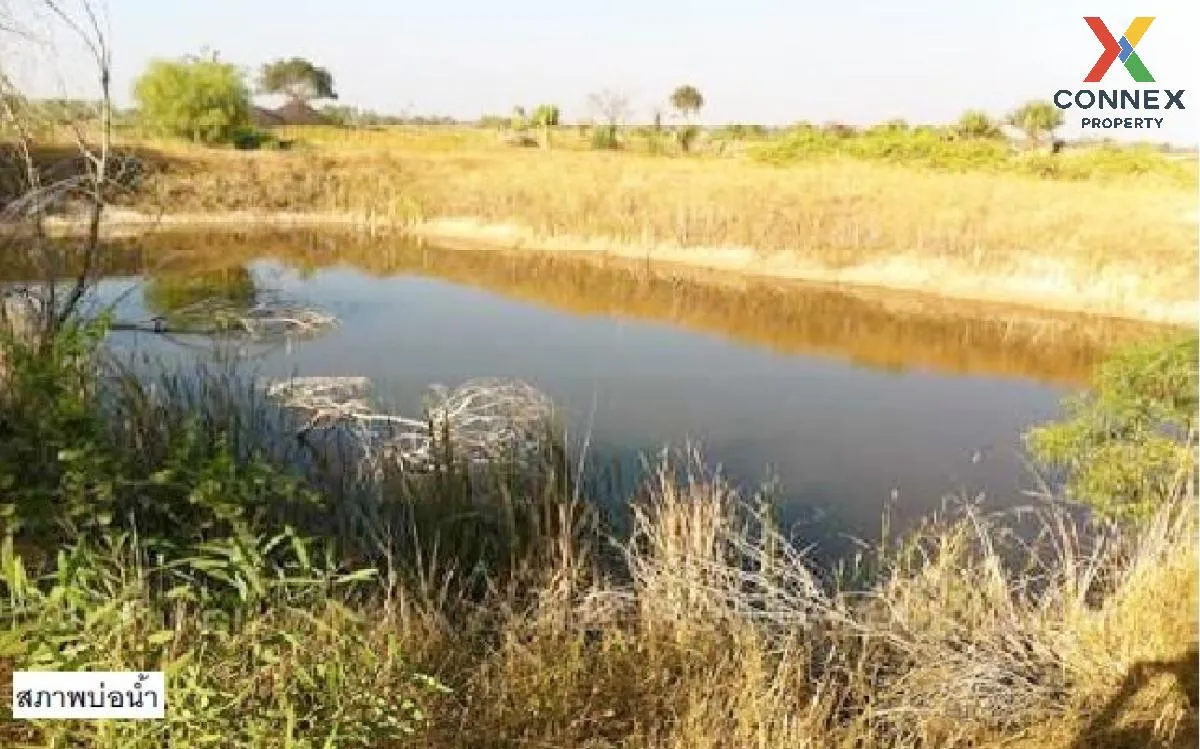 For Sale Vacant land, Nakhon Ratchasima, 2910.50 sq.wa., Dan Khun