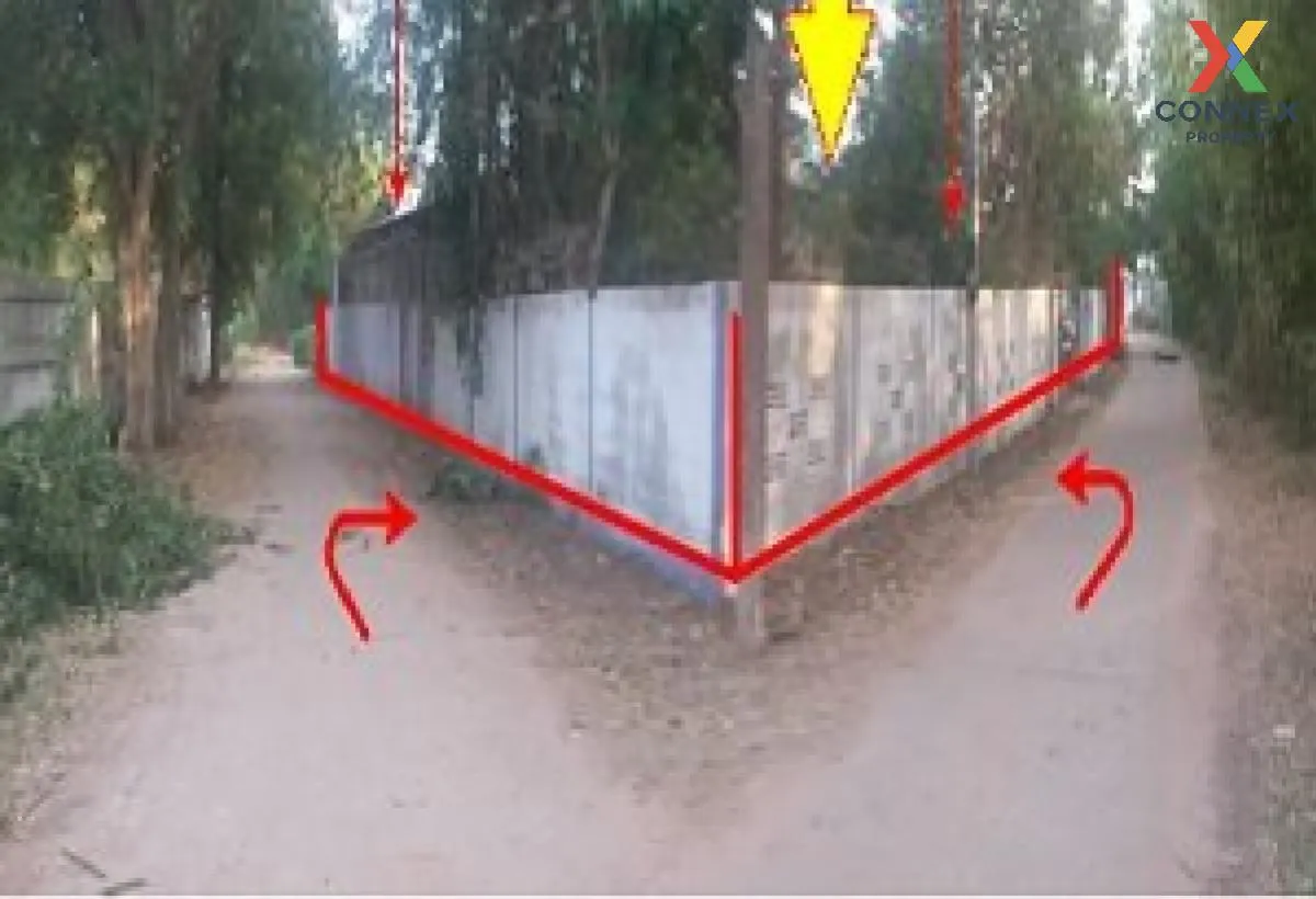 ขายบ้านเดี่ยว มหาสารคาม  256 ตร.ว.  เชียงยืน  เชียงยืน  มหาสารคาม ขายบ้านเดี่ยว มหาสารคาม  256 ตร.ว.  เชียงยืน  เชียงยืน  มหาสารคาม 1