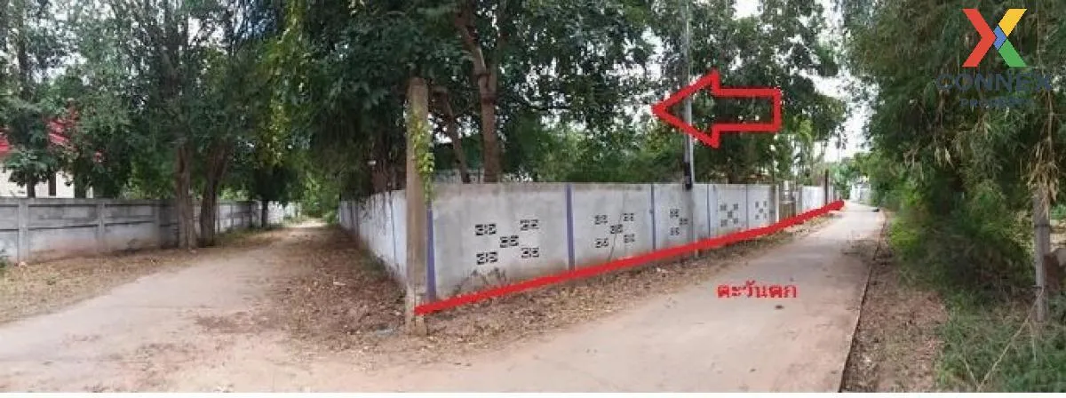 ขายบ้านเดี่ยว มหาสารคาม  256 ตร.ว.  เชียงยืน  เชียงยืน  มหาสารคาม ขายบ้านเดี่ยว มหาสารคาม  256 ตร.ว.  เชียงยืน  เชียงยืน  มหาสารคาม 4