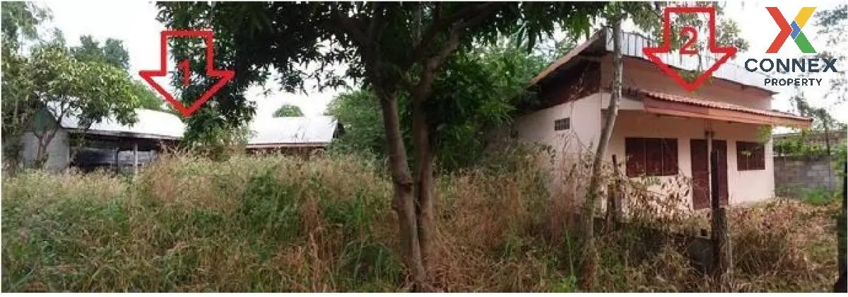 ขายบ้านเดี่ยว มหาสารคาม  256 ตร.ว.  เชียงยืน  เชียงยืน  มหาสารคาม ขายบ้านเดี่ยว มหาสารคาม  256 ตร.ว.  เชียงยืน  เชียงยืน  มหาสารคาม