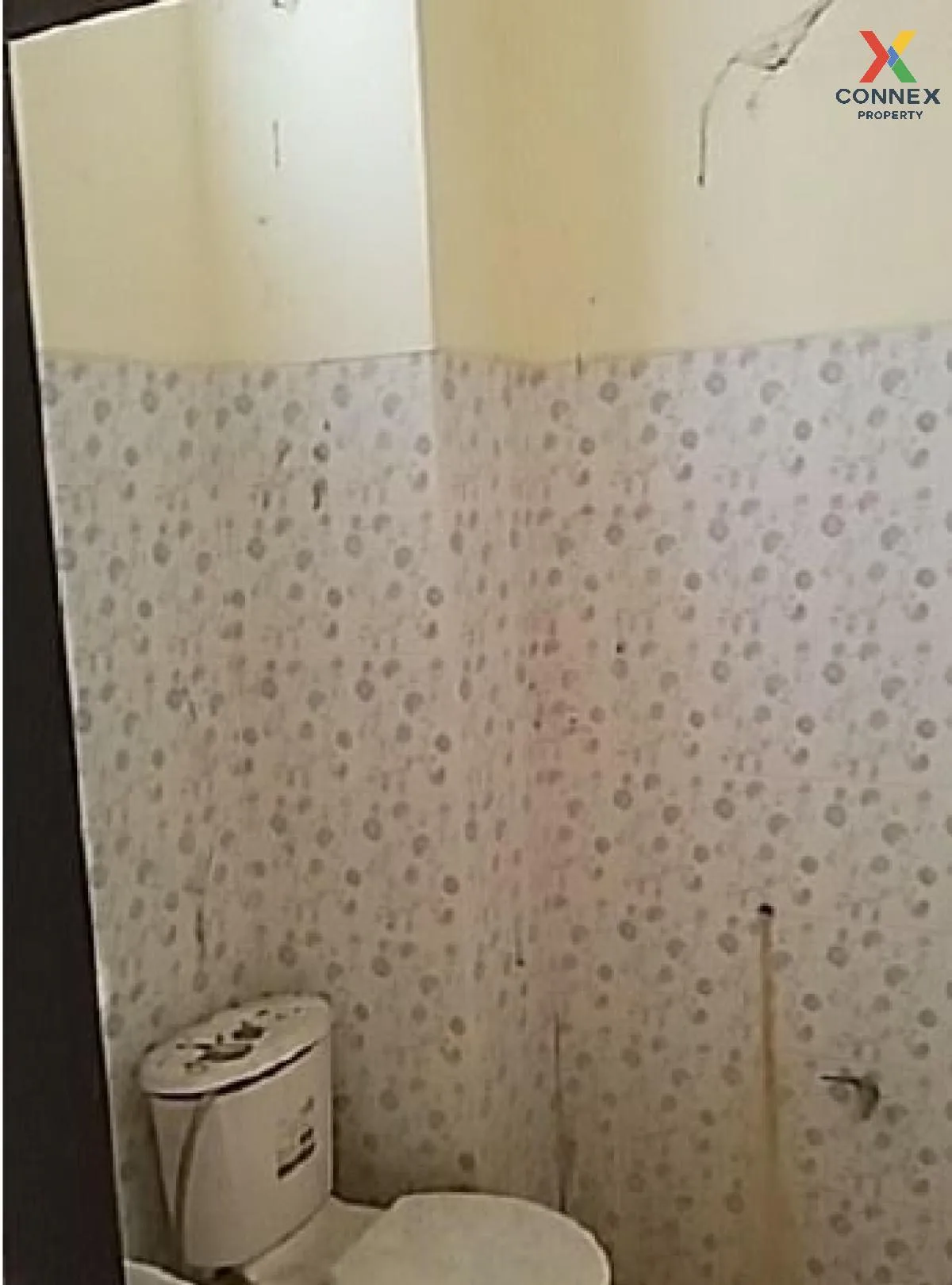 ขายอาคารพาณิชย์  บ้านควนนิยม สินปุน พระแสง สุราษฎร์ธานี CX-120957