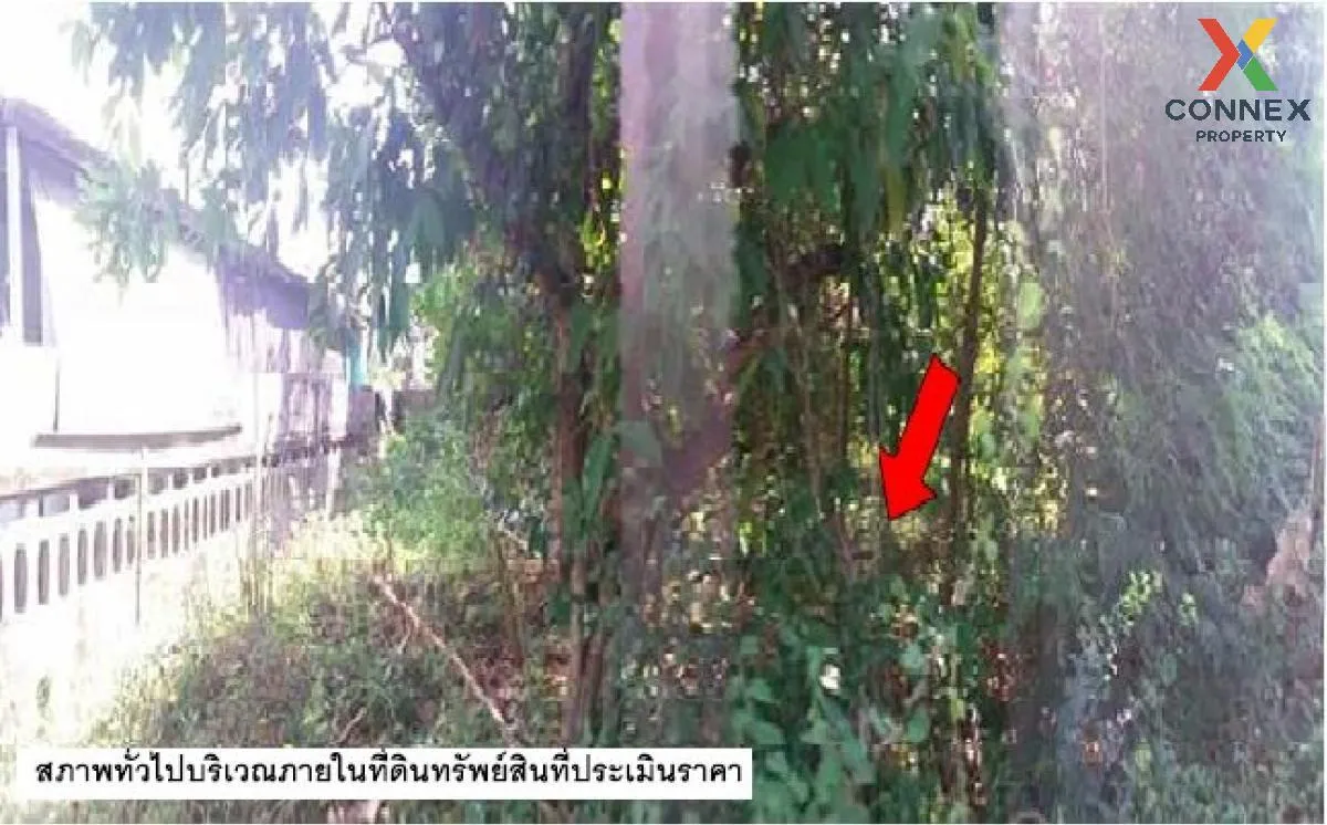 For Sale Vacant land, Yasothon, 80 sq m., in the city, Muang Yaso