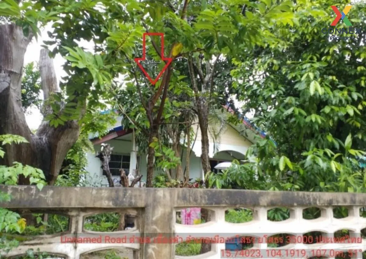 ขายบ้านเดี่ยว ยโสธร  253.00 ตร.ว. เขื่องคำ  เมืองยโสธร  ยโสธร เขื 3