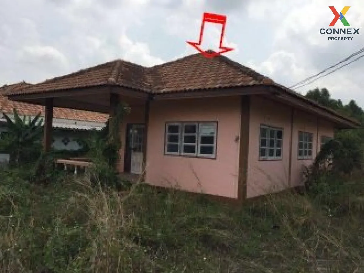 ขายบ้านเดี่ยว 1 ชั้น เนื้อที่ 80 ตารางวา หนองมะโมง ชัยนาท หนองมะโ ขายบ้านเดี่ยว 1 ชั้น เนื้อที่ 80 ตารางวา หนองมะโมง ชัยนาท หนองมะโ 1