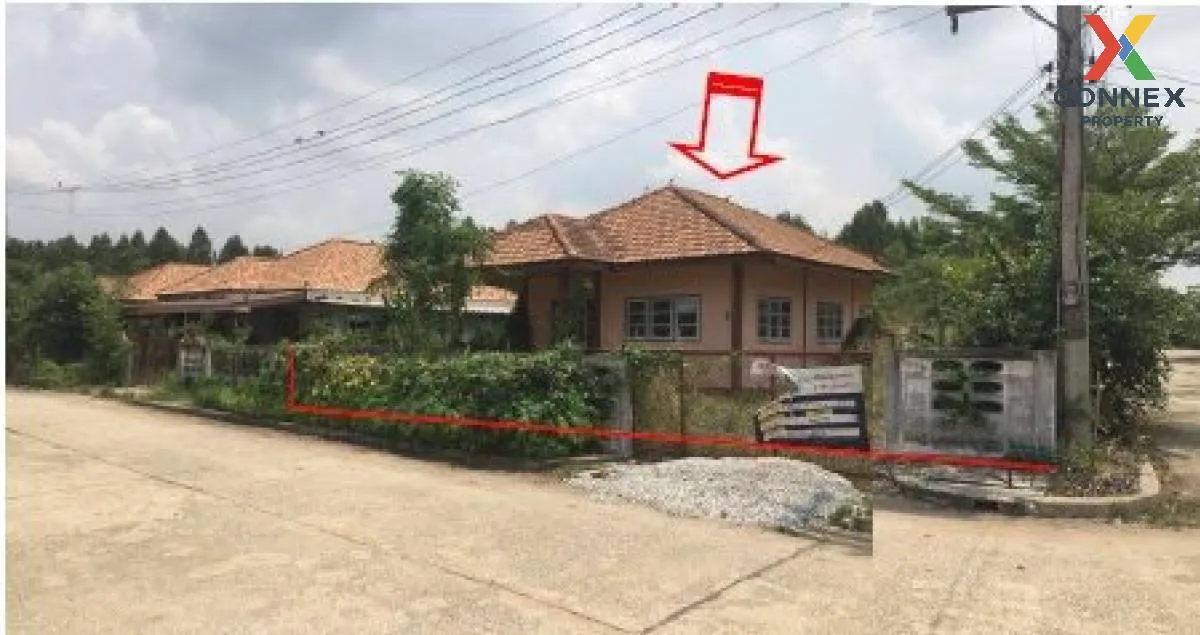 ขายบ้านเดี่ยว 1 ชั้น เนื้อที่ 80 ตารางวา หนองมะโมง ชัยนาท หนองมะโ ขายบ้านเดี่ยว 1 ชั้น เนื้อที่ 80 ตารางวา หนองมะโมง ชัยนาท หนองมะโ 2