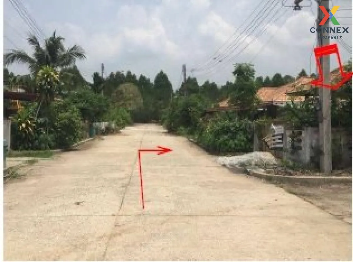 ขายบ้านเดี่ยว 1 ชั้น เนื้อที่ 80 ตารางวา หนองมะโมง ชัยนาท หนองมะโ ขายบ้านเดี่ยว 1 ชั้น เนื้อที่ 80 ตารางวา หนองมะโมง ชัยนาท หนองมะโ 3