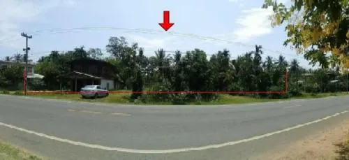 ขายบ้านเดี่ยว ศรีสะเกษ  915.00 ตร.ว.  หนองหัวช้าง  กันทรารมย์  ศรีสะเกษ หนองหัวช้าง กันทรารมย์ ศรีสะเกษ CX-120997