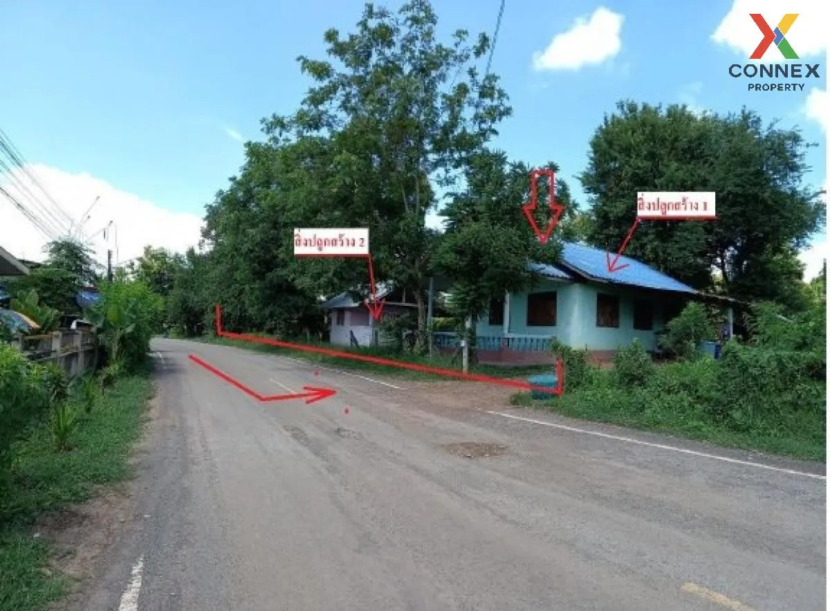 ขายบ้านเดี่ยว หนองคาย  160 ตร.ว. ปะโค  เมืองหนองคาย  หนองคาย ปะโค 2