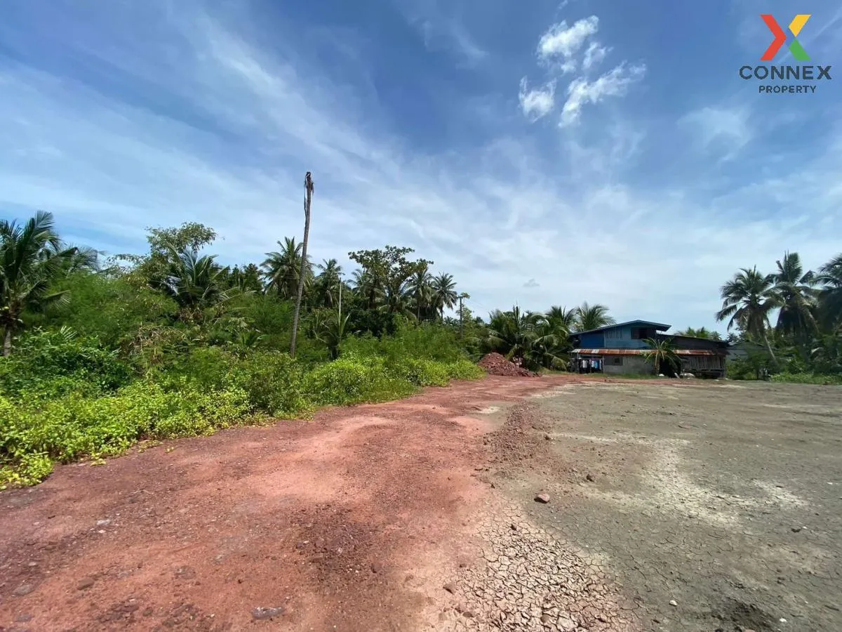 ขายที่ดินเปล่าบางขันแตก บางขันแตก เมืองสมุทรสงคราม สมุทรสงคราม CX ขายที่ดินเปล่าบางขันแตก บางขันแตก เมืองสมุทรสงคราม สมุทรสงคราม CX 3