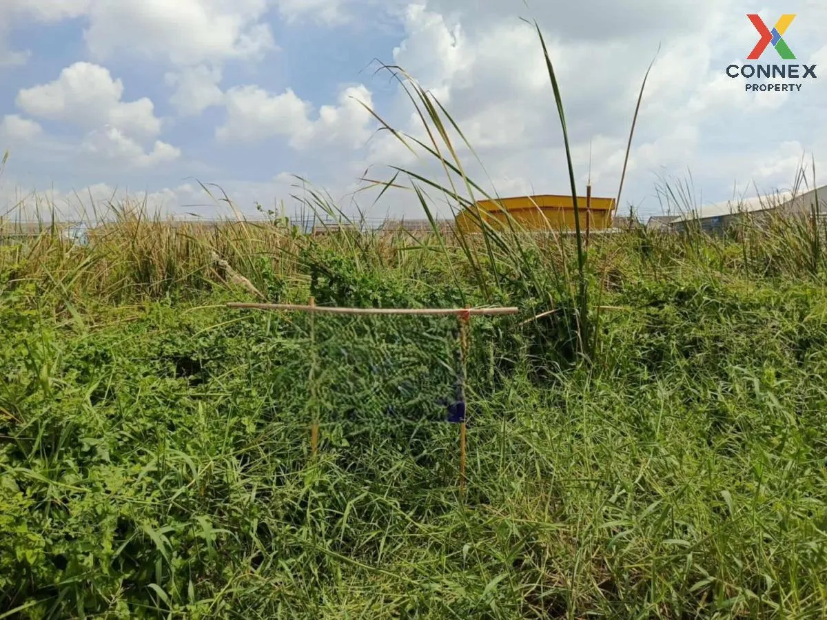 ขายที่ดินเปล่า่ซอยไสวประชาราษฎร์ ลาดสวาย ลำลูกกา ปทุมธานี CX-1211 2