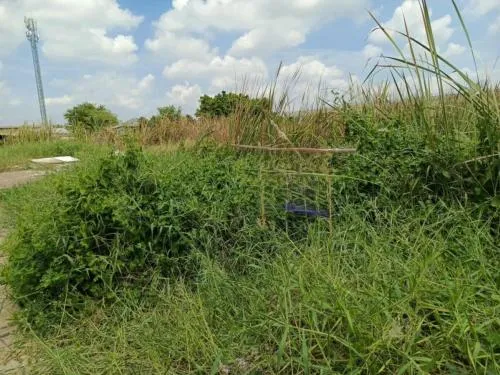 For Sale  Vacant land Soi Sai Pracharat , Lat Sawai , Lam Luk Ka , Pathum Thani , CX-121112