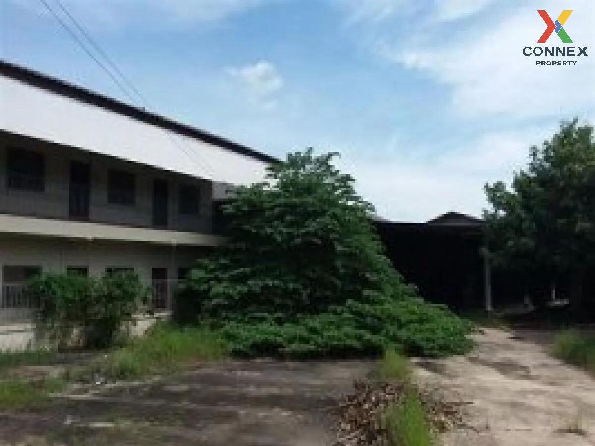 ขายบ้านพร้อมกิจการ 3 ไร่ 1 งาน 48.60 ตารางวา บางแพ ราชบุรี บางแพ  1