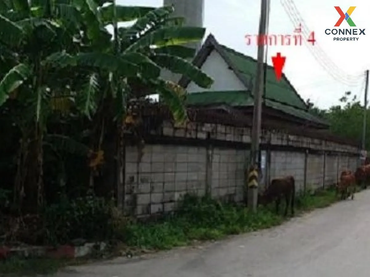 ขายบ้านพร้อมกิจการ 3 ไร่ 1 งาน 48.60 ตารางวา บางแพ ราชบุรี บางแพ  2