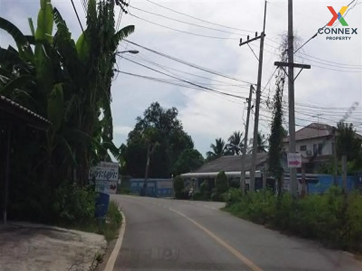 ขายบ้านพร้อมกิจการ 3 ไร่ 1 งาน 48.60 ตารางวา บางแพ ราชบุรี บางแพ  3