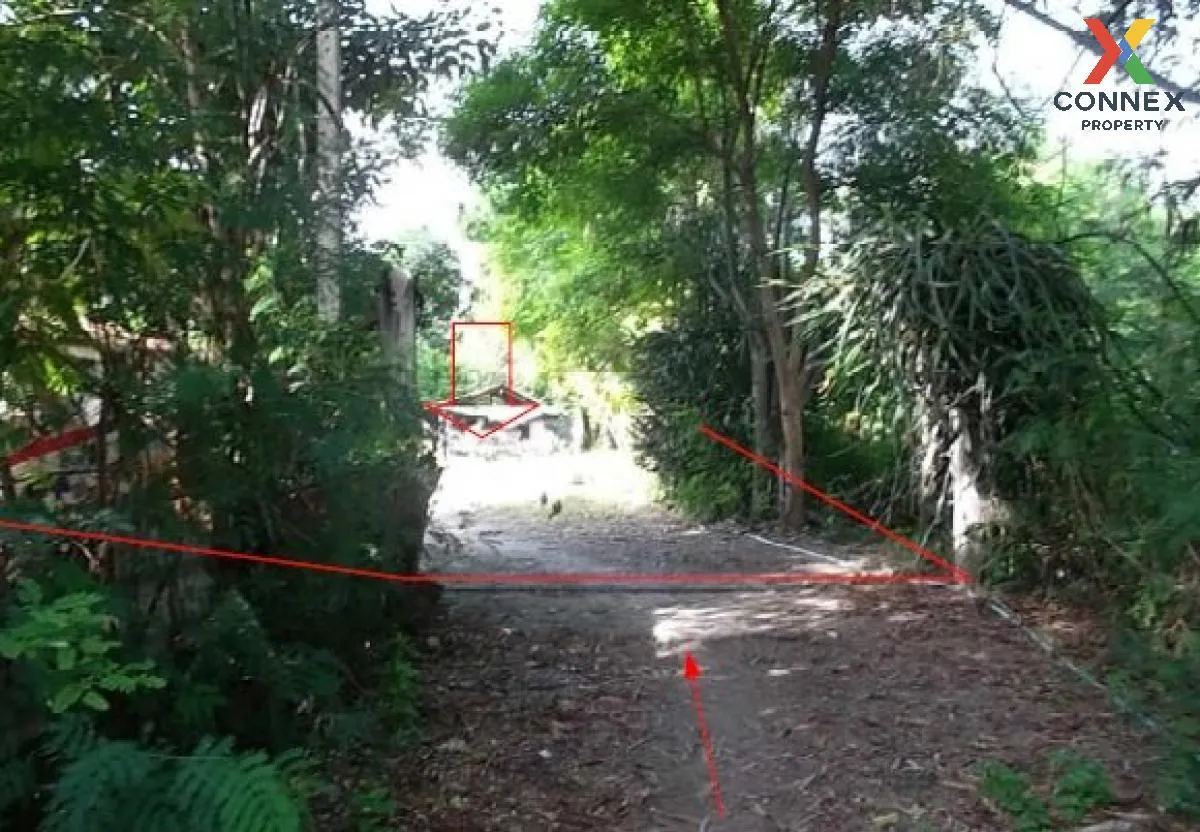 ขายบ้านเดี่ยว 1 ชั้น 2 หลัง เนื้อที่ 187ตร.ว. สระแก้ว เมืองสุพรรณ ขายบ้านเดี่ยว 1 ชั้น 2 หลัง เนื้อที่ 187ตร.ว. สระแก้ว เมืองสุพรรณ 3