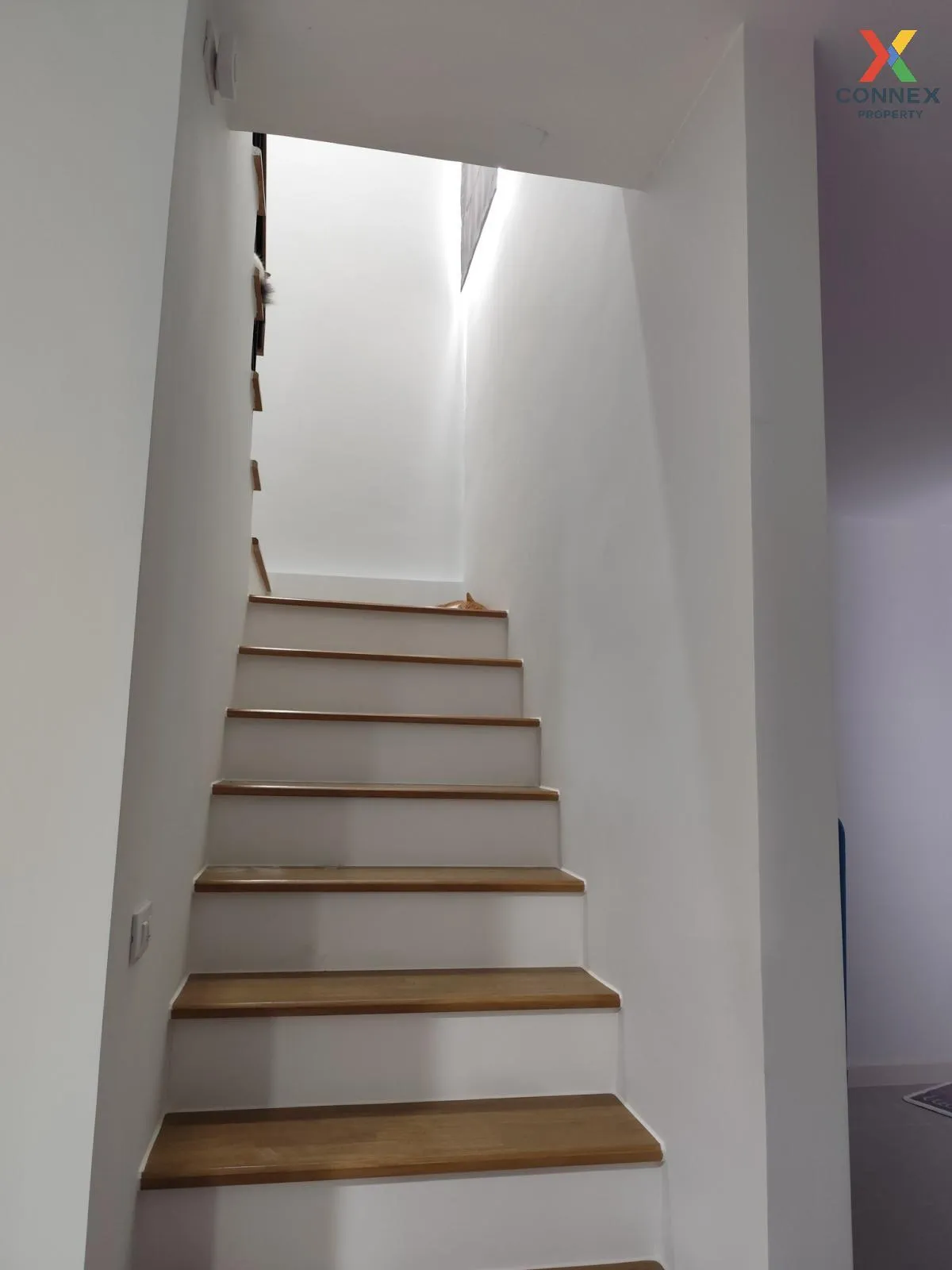 ขายบ้าน  พลีโน่ทาวน์ บางนา บางเสาธง บางเสาธง สมุทรปราการ CX-12127