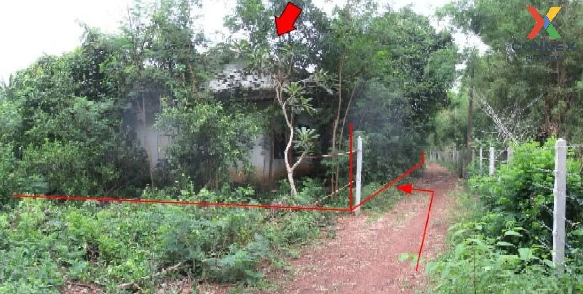 ขายบ้านเดี่ยว 1 ชั้น เนื้อที่ 155 ตารางวา ศรีมหาโพธิ ปราจีนบุรี ด ขายบ้านเดี่ยว 1 ชั้น เนื้อที่ 155 ตารางวา ศรีมหาโพธิ ปราจีนบุรี ด 2