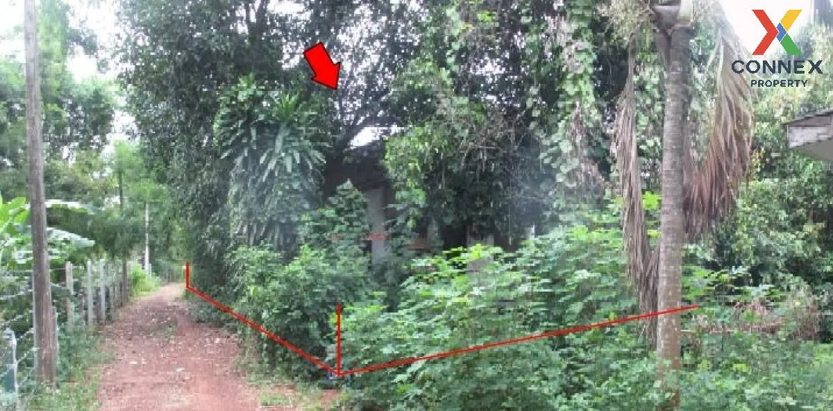 ขายบ้านเดี่ยว 1 ชั้น เนื้อที่ 155 ตารางวา ศรีมหาโพธิ ปราจีนบุรี ด ขายบ้านเดี่ยว 1 ชั้น เนื้อที่ 155 ตารางวา ศรีมหาโพธิ ปราจีนบุรี ด 3