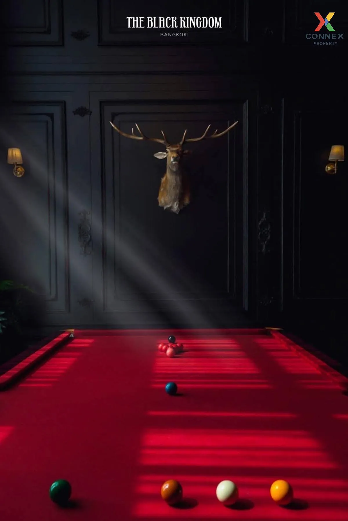 ขายขายบ้านเดี่ยวพร้อมที่ดิน The Black Kingdom Pool Villa  หรูใจกล