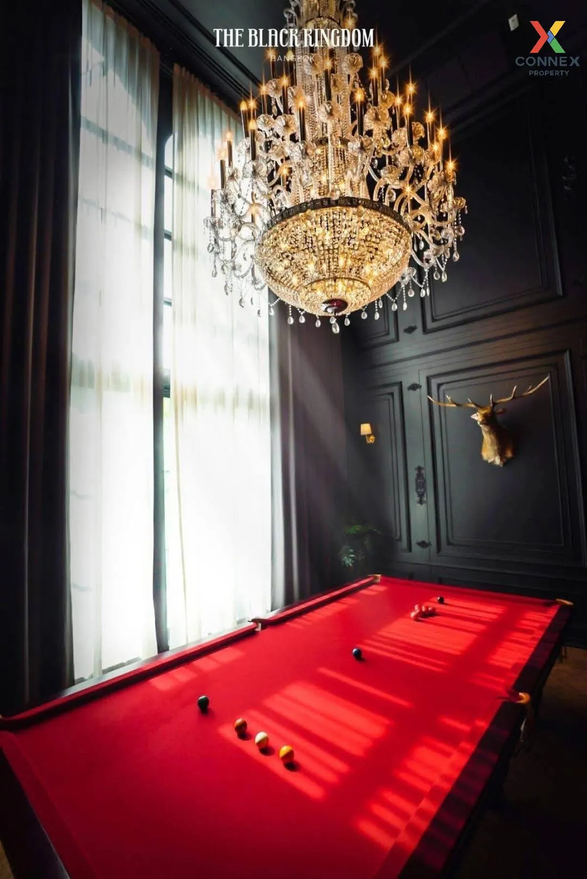 ขายขายบ้านเดี่ยวพร้อมที่ดิน The Black Kingdom Pool Villa  หรูใจกล