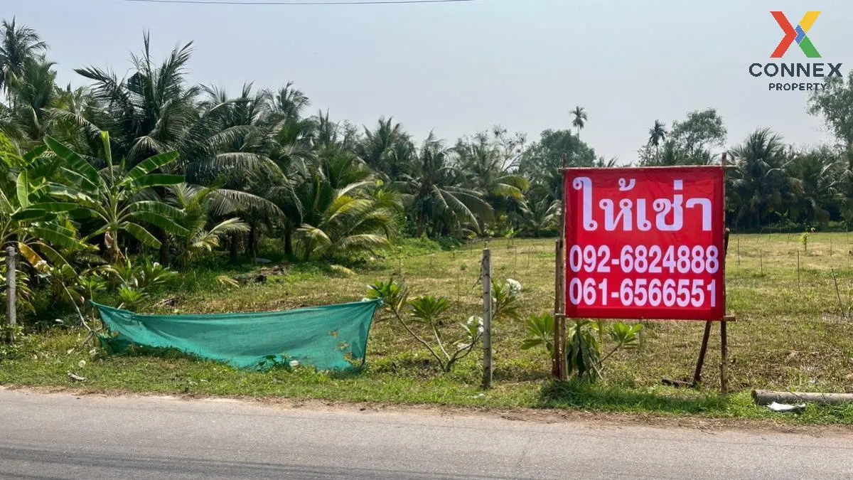 เช่าที่ดินเปล่า เนื้อที่6ไร่3งาน  สวนหลวง อัมพวา สมุทรสงคราม สวนห เช่าที่ดินเปล่า เนื้อที่6ไร่3งาน  สวนหลวง อัมพวา สมุทรสงคราม สวนห 1