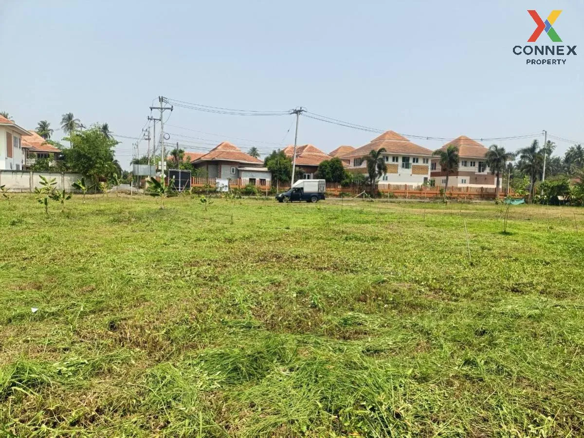 เช่าที่ดินเปล่า เนื้อที่6ไร่3งาน  สวนหลวง อัมพวา สมุทรสงคราม สวนห เช่าที่ดินเปล่า เนื้อที่6ไร่3งาน  สวนหลวง อัมพวา สมุทรสงคราม สวนห