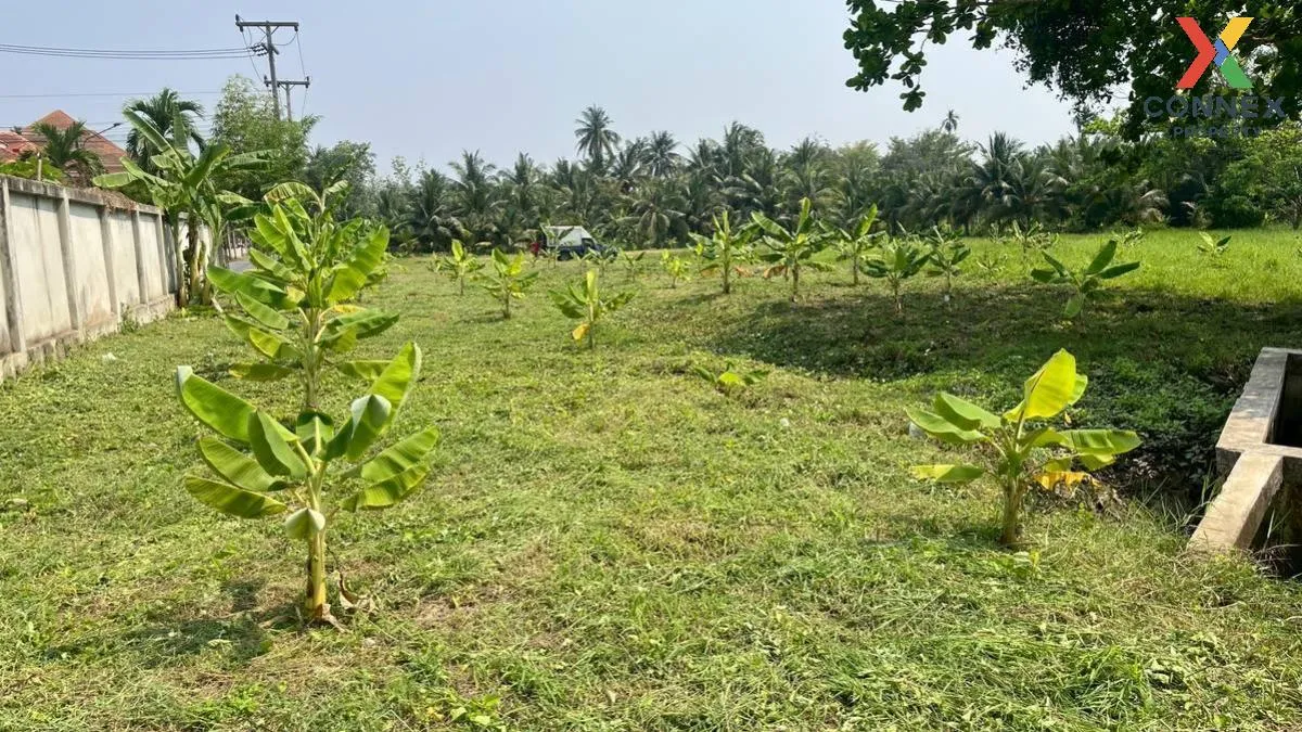 เช่าที่ดินเปล่า เนื้อที่6ไร่3งาน  สวนหลวง อัมพวา สมุทรสงคราม สวนห เช่าที่ดินเปล่า เนื้อที่6ไร่3งาน  สวนหลวง อัมพวา สมุทรสงคราม สวนห