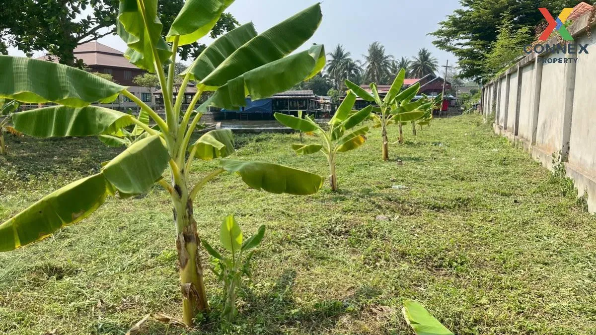 เช่าที่ดินเปล่า เนื้อที่6ไร่3งาน  สวนหลวง อัมพวา สมุทรสงคราม สวนห เช่าที่ดินเปล่า เนื้อที่6ไร่3งาน  สวนหลวง อัมพวา สมุทรสงคราม สวนห