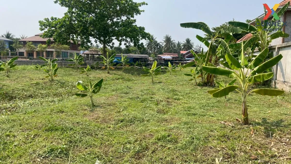 เช่าที่ดินเปล่า เนื้อที่6ไร่3งาน  สวนหลวง อัมพวา สมุทรสงคราม สวนห เช่าที่ดินเปล่า เนื้อที่6ไร่3งาน  สวนหลวง อัมพวา สมุทรสงคราม สวนห