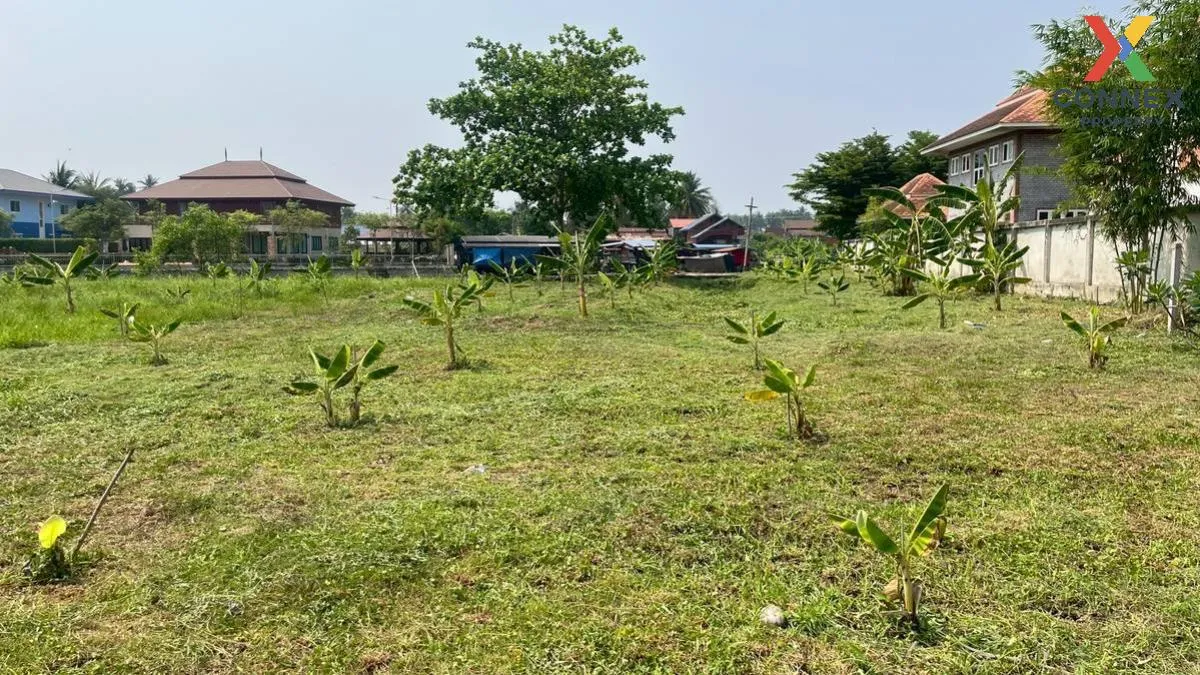 เช่าที่ดินเปล่า เนื้อที่6ไร่3งาน  สวนหลวง อัมพวา สมุทรสงคราม สวนห เช่าที่ดินเปล่า เนื้อที่6ไร่3งาน  สวนหลวง อัมพวา สมุทรสงคราม สวนห