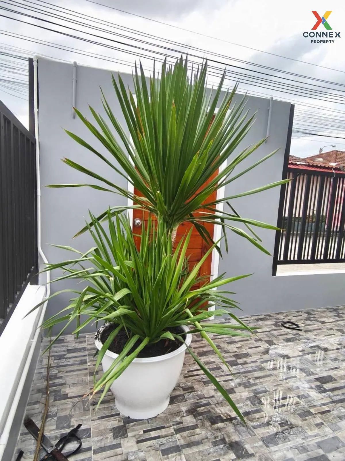For Sale House , Baan Phrueksa 3 Bang Bua Thong , Bang Khu Rat , 