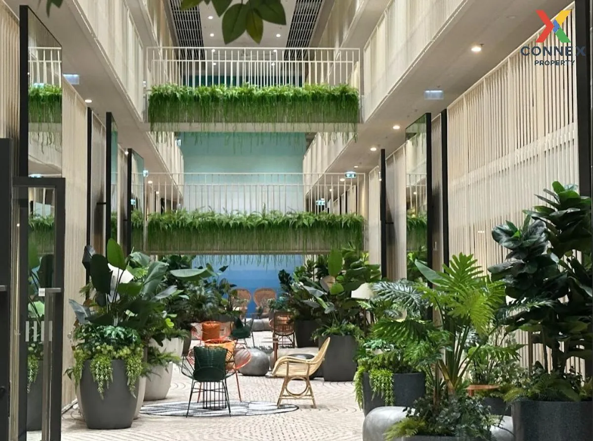 For Rent Condo , The Base Saphanmai , BTS-Sai Yud , Anusawari , B