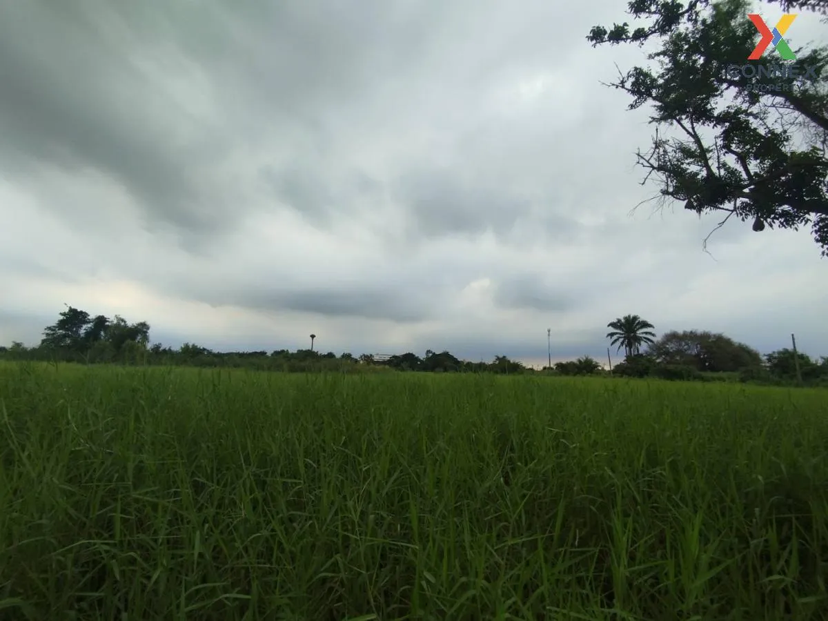 ขายที่ดินเปล่า  ฉลองกรุง ริเวอร์วิลล์ รีสอร์ท ลำผักชี เขต หนองจอก 2