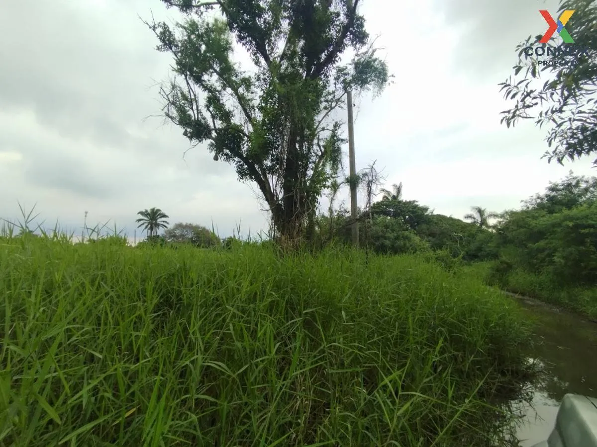 ขายที่ดินเปล่า  ฉลองกรุง ริเวอร์วิลล์ รีสอร์ท ลำผักชี เขต หนองจอก 4